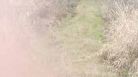 Earnestown Railway Station - 20241110_141524.jpg