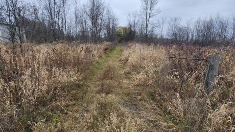 Earnestown Railway Station - 20241110_141528.jpg
