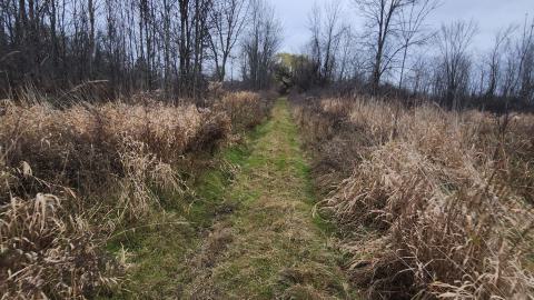 Earnestown Railway Station - 20241110_141537.jpg