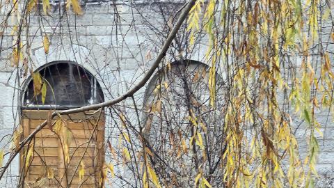 Earnestown Railway Station - 20241110_141736.jpg