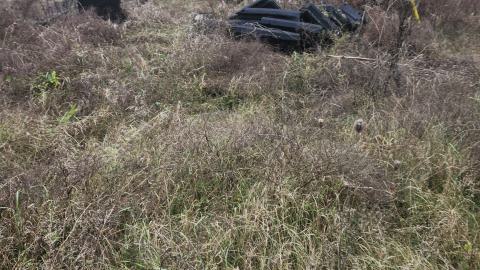 Photo from Earnestown Railway Station