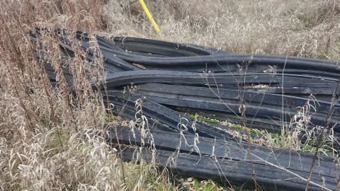 Earnestown Railway Station - 20241110_141913.jpg