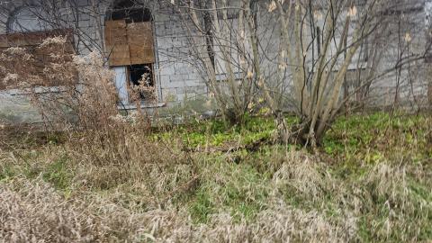 Earnestown Railway Station - 20241110_141930.jpg