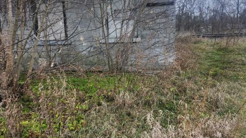 Earnestown Railway Station - 20241110_141934.jpg