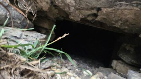 Earnestown Railway Station - 20241110_142158.jpg