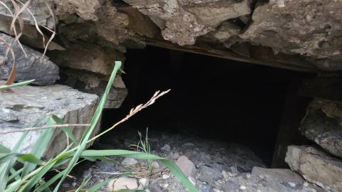 Earnestown Railway Station - 20241110_142200.jpg