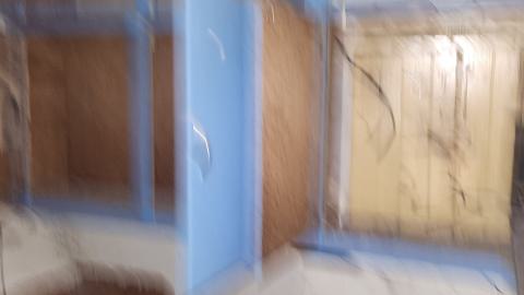 Earnestown Railway Station - 20241110_142759.jpg