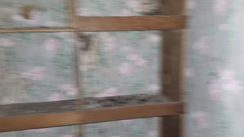 Earnestown Railway Station - 20241110_142931.jpg