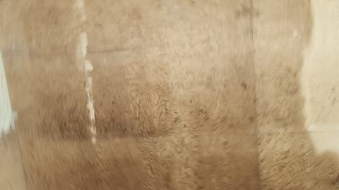 Earnestown Railway Station - 20241110_142939.jpg