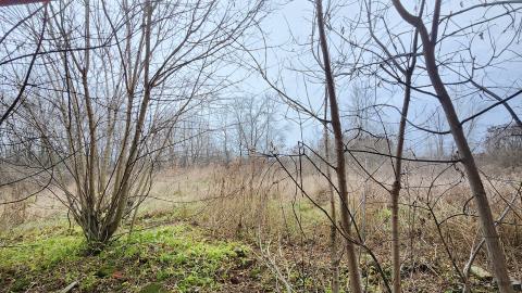 Earnestown Railway Station - 20241110_143201.jpg