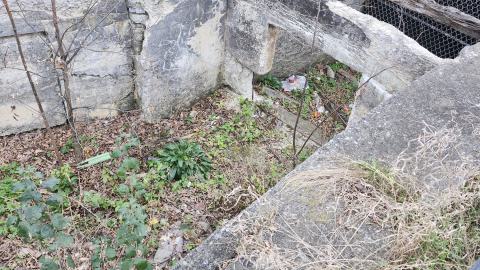 Babcock Mills November 2024 - 20241110_125238.jpg