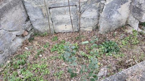 Babcock Mills November 2024 - 20241110_125235.jpg