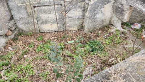 Photo from Babcock Mills November 2024