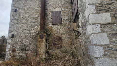 Babcock Mills November 2024 - 20241110_124758.jpg