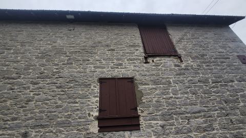 Babcock Mills November 2024 - 20241110_124505.jpg