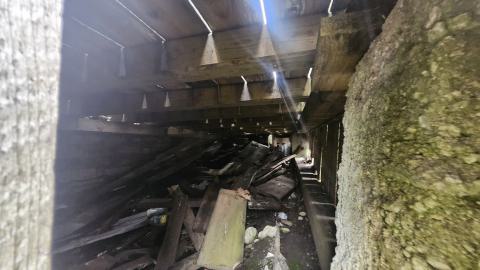 Babcock Mills November 2024 - 20241110_124450.jpg