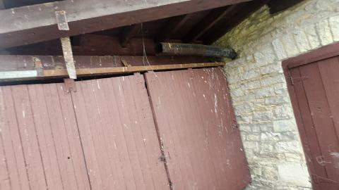 Babcock Mills November 2024 - 20241110_124413.jpg