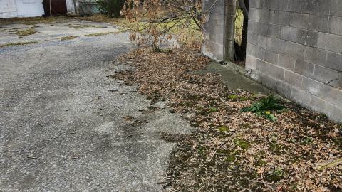 Odessa Boat Yard Ruins Nov 2024 - 20241110_131043.jpg