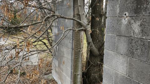 Odessa Boat Yard Ruins Nov 2024 - 20241110_131047.jpg