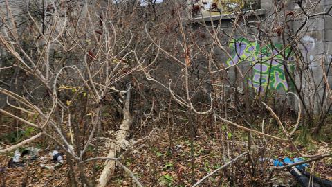 Odessa Boat Yard Ruins Nov 2024 - 20241110_131112.jpg