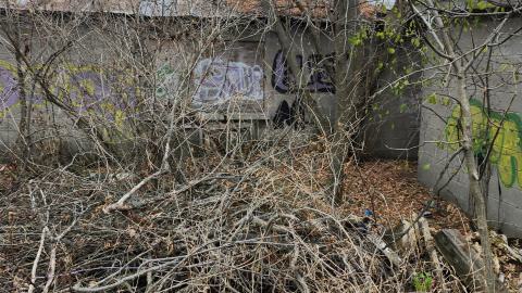 Odessa Boat Yard Ruins Nov 2024 - 20241110_131157.jpg