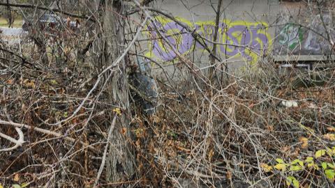 Odessa Boat Yard Ruins Nov 2024 - 20241110_131202.jpg