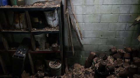 Odessa Boat Yard Ruins Nov 2024 - 20241110_132354.jpg