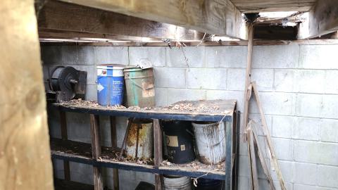 Odessa Boat Yard Ruins Nov 2024 - 20241110_132351.jpg