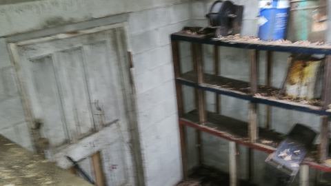 Odessa Boat Yard Ruins Nov 2024 - 20241110_132340.jpg