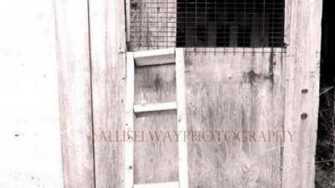 J.Field - Jeremiahs-Field222.jpg