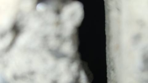 Odessa Boat Yard Ruins Nov 2024 - 20241110_132146.jpg