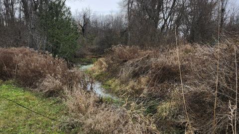 Odessa Boat Yard Ruins Nov 2024 - 20241110_131839.jpg