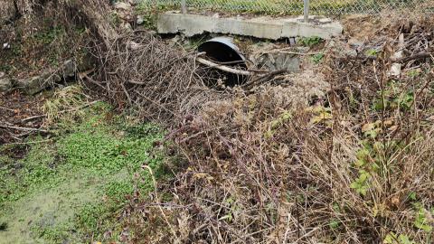 Odessa Boat Yard Ruins Nov 2024 - 20241110_131828.jpg