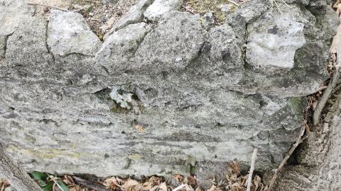 Odessa Boat Yard Ruins Nov 2024 - 20241110_131749.jpg