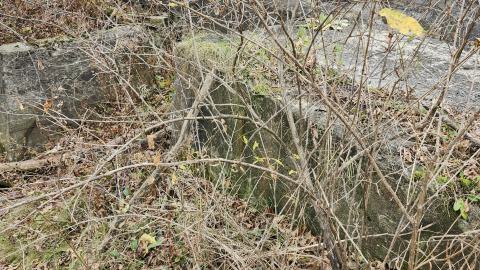 Odessa Boat Yard Ruins Nov 2024 - 20241110_131728.jpg