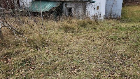 Odessa Boat Yard Ruins Nov 2024 - 20241110_131718.jpg