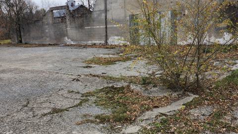 Odessa Boat Yard Ruins Nov 2024 - 20241110_131621.jpg