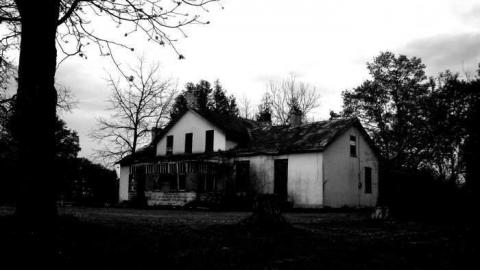 Sandbanks house photo 3