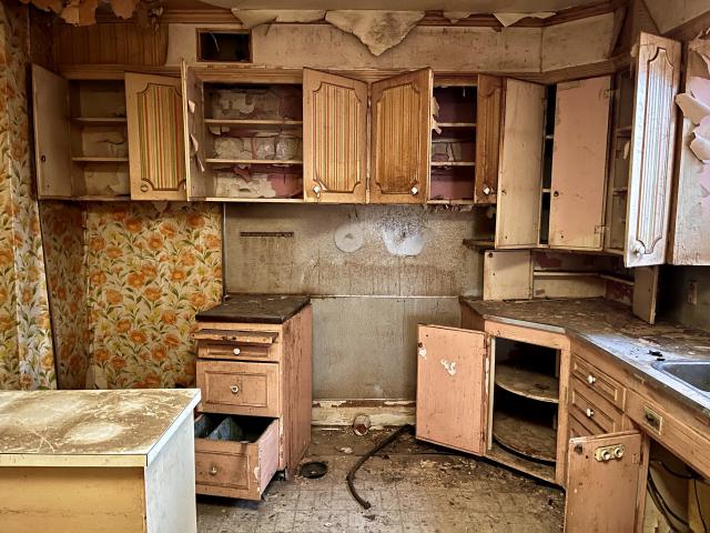 Gardiner's Tudor photo 5