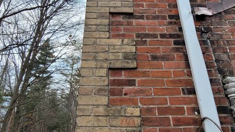 Still Explorable - 20241116_160042.jpg