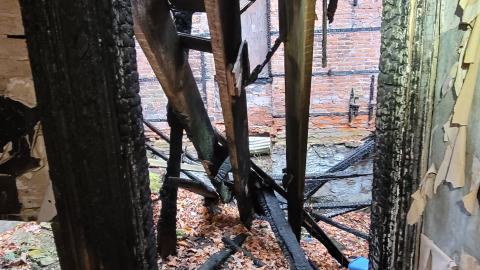 Still Explorable - 20241116_155737.jpg