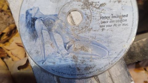 Still Explorable - 20241116_155652.jpg