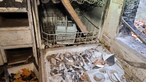 Still Explorable - 20241116_155621.jpg