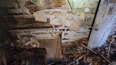 Still Explorable - 20241116_155518.jpg