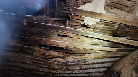 Still Explorable - 20241116_155507.jpg