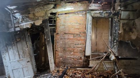 Still Explorable - 20241116_155415.jpg