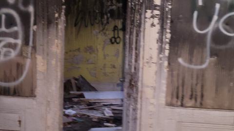 Still Explorable - 20241116_155406.jpg