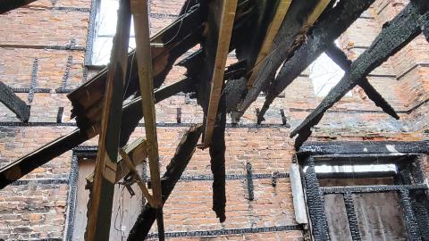 Still Explorable - 20241116_155250.jpg