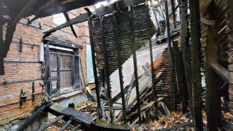 Still Explorable - 20241116_155217.jpg