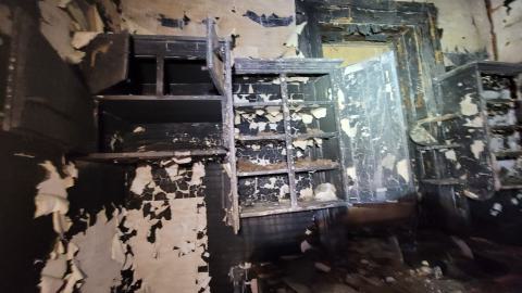 Still Explorable - 20241116_155134.jpg